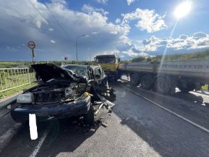 В Измалковском районе в столкновении с КамАЗом пострадали водитель и пассажир иномарки